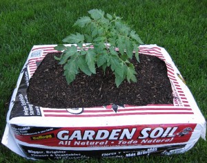 soil_bag_planter