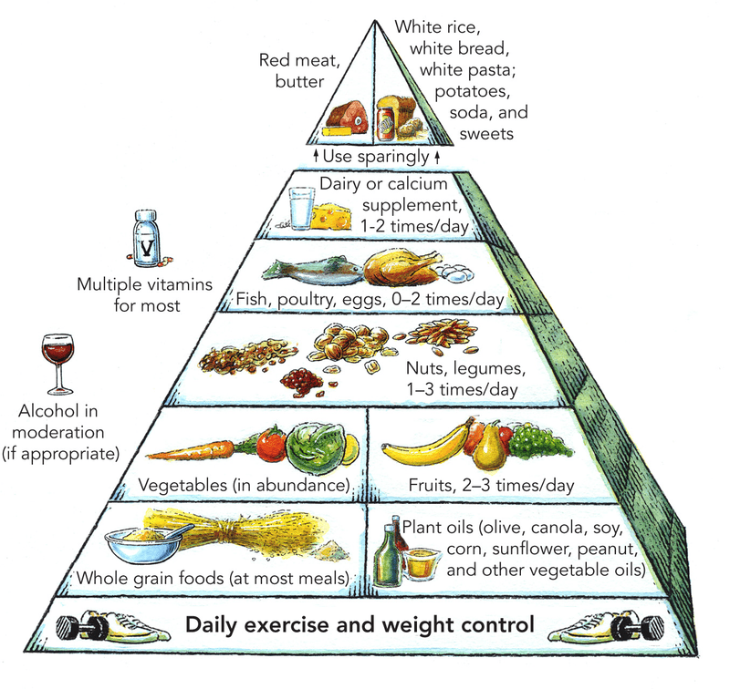 Harvard Food Pyramid
